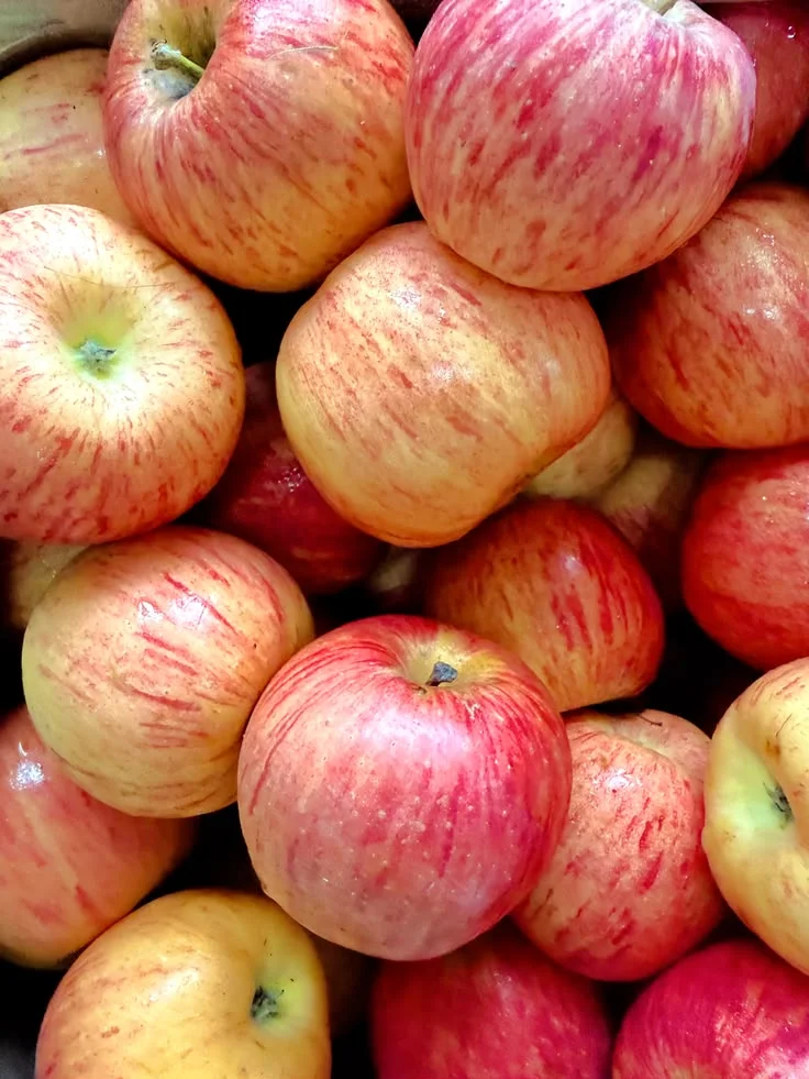 Fresh Export Apples