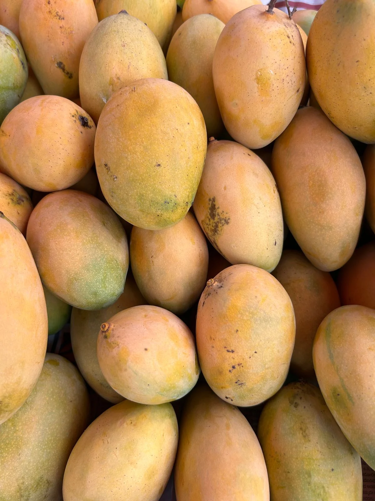 Mango