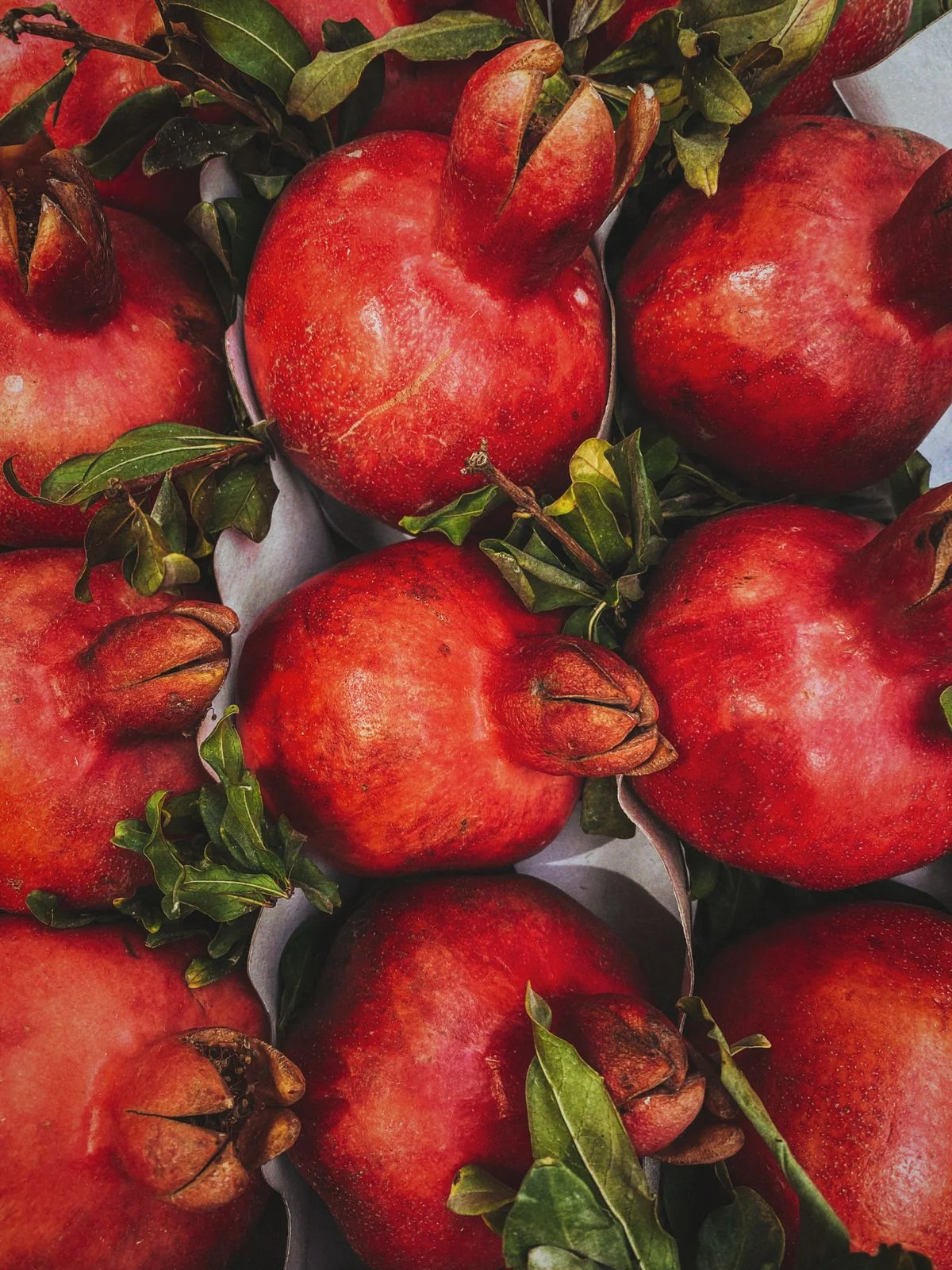 Pomegranate