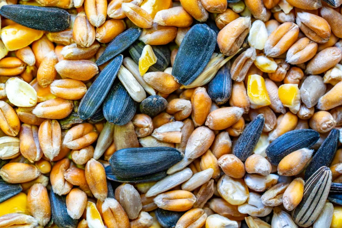 Agricultural feed ingredients